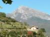 Agriturismo Al Pagan